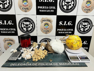 De acordo com a polícia, o prejuízo ao crime organizado é de cerca de R$ 100.000,00 - Foto: Divulgação