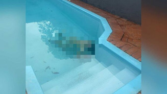 Foto: Reprodução/Repórter Top