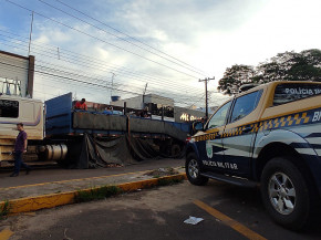 Polícia Militar Rodoviária apreende 963 kg de entorpecente em Ponta Porã