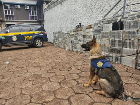 PRF apreende mais de 1,8 toneladas de cocaína em Sidrolândia