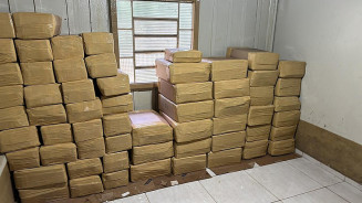 PF fecha depósito de droga usado por organização criminosa internacional e apreende quase 2t de maconha