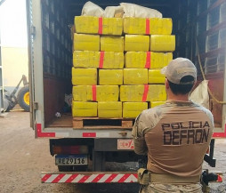 Quase 12 toneladas de drogas é incinerada por intermédio da DEFRON em Dourados