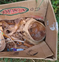 Ossada humana é encontrada dentro de caixa na fronteira de MS