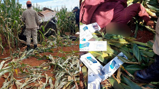 Mulher capota carro carregado com contrabando e morre na MS-462