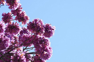 Semana começa com possíveis pancadas de chuva, mas tempo estabiliza no decorrer dos dias