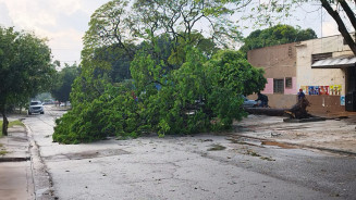 Temporal causa destruição e deixa milhares sem energia em Dourados