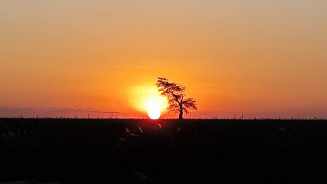 Segunda-feira começa com calor extremo de até 44°C em Mato Grosso do Sul