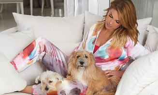 Conheça história da adoção de vira-lata que defendeu Ana Hickmann durante briga com ex-marido