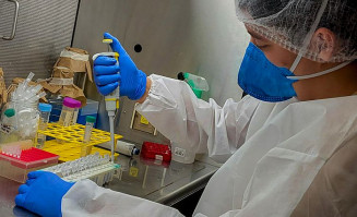 Pesquisa detecta vírus zika e chikungunya em ovos de mosquitos Aedes