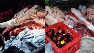 Idoso preso com carne de novilha é sobrinho de fazendeiro e disse que dupla planejou crime