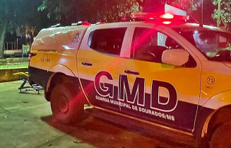 Vizinhos denunciam venezuelano por agredir e tentar colocar cachorro dentro de saco