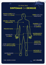 Dengue: 21 estados e o DF têm queda ou estabilidade no número de casos
