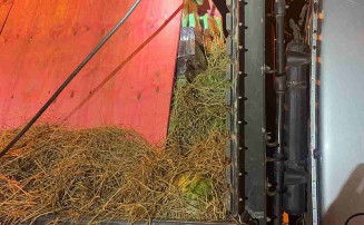 Operação da PRF em Dourados apreende 16 toneladas de maconha e quatro pessoas são presas