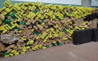 Quase uma tonelada de maconha é apreendida em operação dos policiais da DRACCO