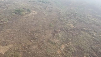 PF investiga incêndios criminosos na região do Pantanal