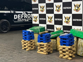 Defron apreende quase 300 quilos de maconha em barracão no Jardim Alhambra