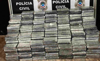 Motorista que saiu de Dourados com cocaína escondida em pacotes de frango é preso na MS-276