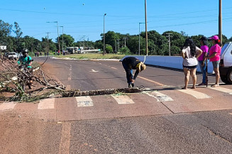 Indígenas bloqueiam MS-156 entre Dourados e Itaporã em protesto contra falta de água