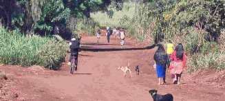 Mulher é assassinada com tiro na cabeça na Aldeia Jaguapiru e marido é procurado pela polícia