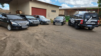 Polícia desarticula organização criminosa que confeccionava placas falsas