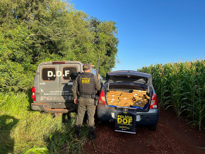 Carro é apreendido em Dourados com 1,3 tonelada de drogas