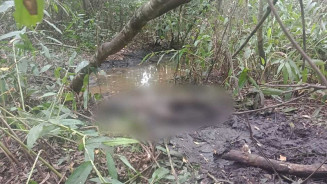 Corpo sem identificação é encontrado às margens de córrego na manhã de sábado