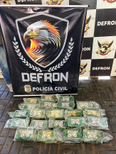 Polícia encontra mais droga em caminhonete já apreendida com cocaína