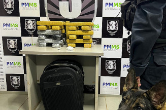Canil do 3º BPM ajuda a apreender quase 29 kg de maconha em ônibus em Dourados