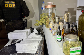 DOF apreende mais de 900 quilos de drogas em casa usada como entreposto em Ponta Porã