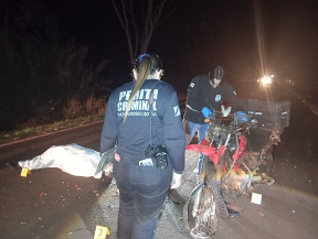 Dois motociclistas morrem em colisão na MS-156 entre Piraporã e Montese