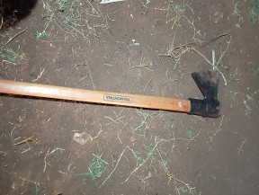 Indígena é morto a golpes de machado pelo enteado em aldeia de Dourados