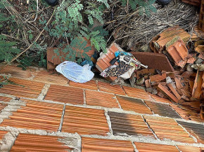 Preso jovem acusado de tentativa de homicídio contra ex-cunhado na Aldeia Jaguapiru