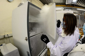 Criança desliga refrigerador e vacinas contra covid são perdidas no ES