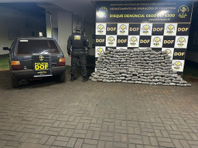 DOF apreende 220 quilos de skunk em residência no bairro Canaã I, em Dourados