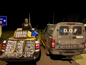 DOF apreende quase 100 quilos de haxixe em Naviraí e prende mulher paraguaia