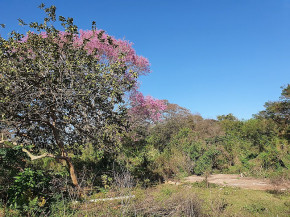 Prefeitura fará pesquisa socioambiental no Parque Natural Municipal do Paragem