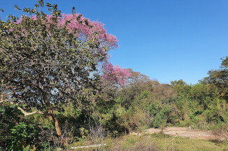 Prefeitura fará pesquisa socioambiental no Parque Natural Municipal do Paragem