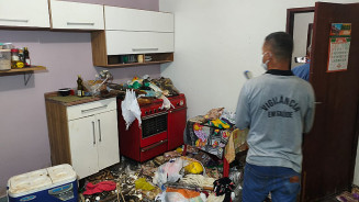 Seis gatos são salvos de residência insalubre com ossadas e forte mau cheiro