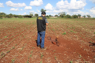 Homem confessa assassinato a golpes de machadinha e enterro do corpo em cova rasa em Itamarati