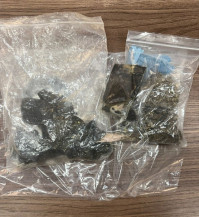 Adolescente é apreendido em Dourados com maconha gourmet avaliada em duzentos mil reais, segundo a Defron