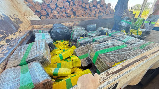 Polícia Civil queima quase duas toneladas de drogas apreendidas em Iguatemi