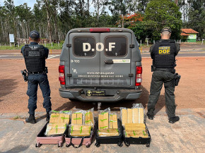 DOF prende jovem em ônibus com quase 34 quilos de maconha em Ponta Porã
