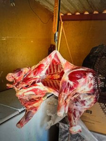 Polícia Civil identifica e prende suspeito por furto de carneiros em Anaurilândia após investigação