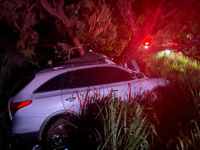 Douradense morre após atropelar javali e bater em árvore entre Casa Verde e Nova Alvorada