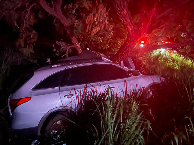 Douradense morre após atropelar javali e bater em árvore entre Casa Verde e Nova Alvorada