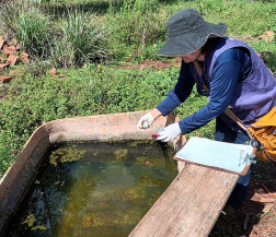 Prefeitura registra quarta morte por chikungunya nas aldeias e alerta para o avanço da doença