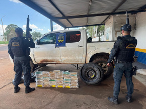 Homem é preso com mais de 60 quilos de cocaína em rodovia