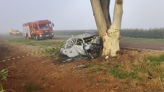 Dois homens morrem carbonizados após carro bater em árvore na MS-379