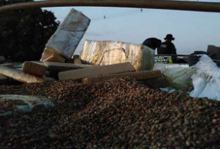 Polícia incinera maior carga de maconha apreendida do País