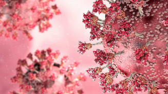 Nova variante da covid-19, oriunda da Ômicron, é descoberta na China